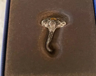 $24 
#58 Swarovski SCS Wild Flower with box 