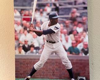 Ernie Banks, Mr. Cub