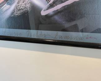 Laurie Fields-Lumina