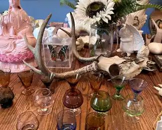 miniature color glasses, animal skull, butterfly in display case, pink Buddha statue,