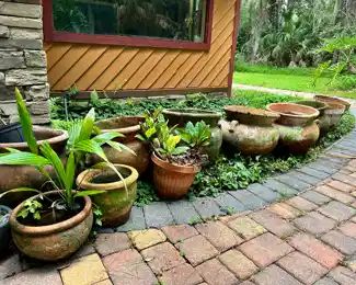 All sizes of terracotta planters