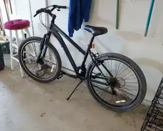 Schwinn "Sidewinder" Bike