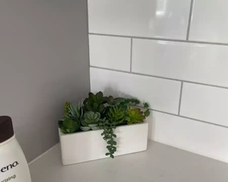 Twigs and Moss  Succulent Home Decor 