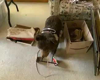 Stieff riding Bear - $75.00