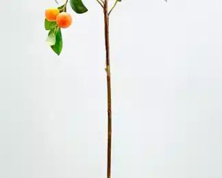 Safavieh Faux Orange Potted Tree
