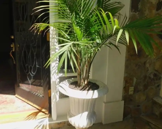 Antique Italian Marble Garden Urn