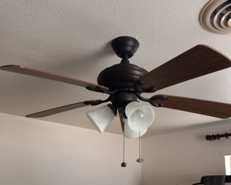 Ceiling Fans are available. Must be taken down by buyer.