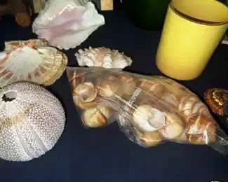 Shells