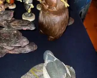 Oddity woodchuck and duck