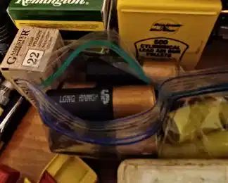 some 22 shells, shotgun shells, and pellets