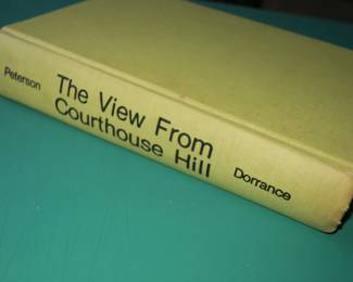 Cadillac MI... The view from courthouse Hill by Judge Peterson. 