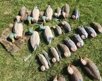Huge Lot of Duck Decoys