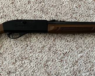 A Coleman Crossman 766 BB Shot Gun with carrying case! 