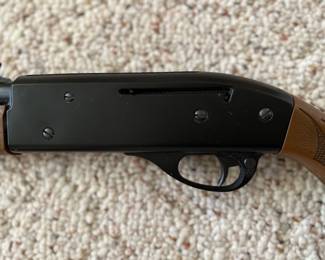 A Coleman Crossman 766 BB Shot Gun with carrying case! 