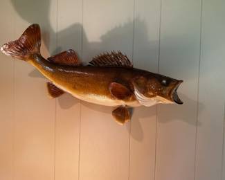 Some beautiful taxidermy and mounts! 