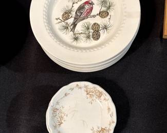 Top Plates are a series of small Bird Plates by Royal Couldon England! The bottom is a set of small plates by Johnson Brothers!