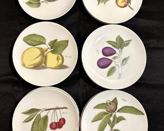 A beautiful set of FOURTEEN Fruit Plates with TWO Platters!