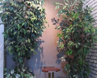 Potted Greenery, Florals & Trees