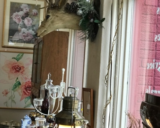 Mounted Deer Head with Rack