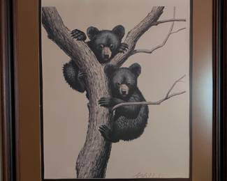 Guy Coheleach artwork