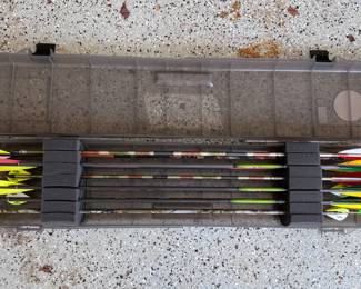 Case with assorted arrows