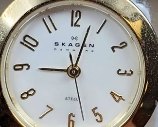 Skagen Denmark Womens Gold Stainless Watch with Mesh Band