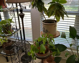 We have floor lamps & plant stands