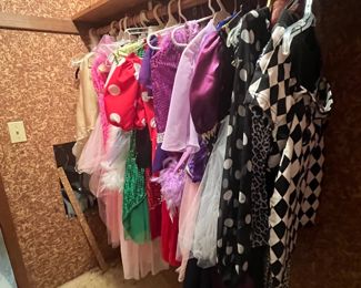 Entire costume closet!