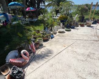 Potted plants, decorative planters