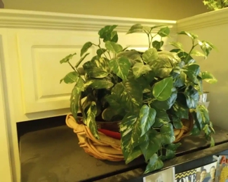 $15. faux plants, 
