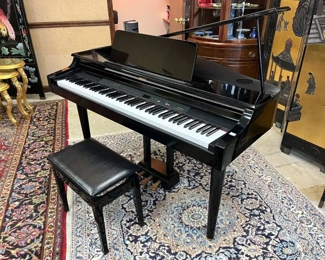 Yamaha Digital Piano (cost $6000 new)
