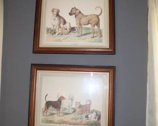ANTIQUE CANINE LITHOGRAPHS ARTIST  SYDENHAM EDWARDS
