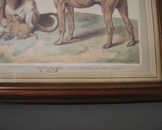 ANTIQUE CANINE LITHOGRAPHS ARTIST  SYDENHAM EDWARDS