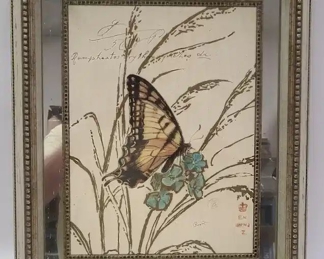 Chad Barrett Nature's Curiosities 1 in Shadow Box