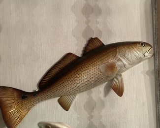 Wall mount fish
