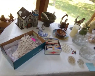 Beautiful piece of Coral