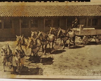 RPPC W. K. KEKKIGG ARABUAB GIRSE CEBTER ARABIABS U OF CALAFORNIA 