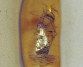 SCRIMSHAW TOOTH