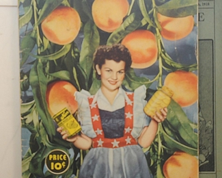 WII KERR HOME CANNING BOOK