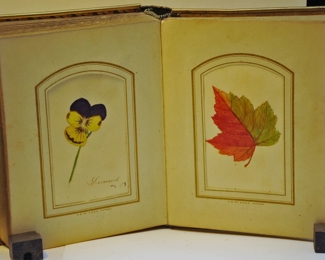 ANTIQUE EXTRA FINE PHOTOGRAPH BOOK THAT CONTAINS ORIGINAL AND PRINTED PLANT ART