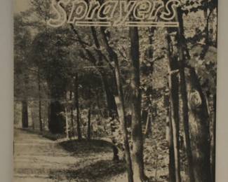 CAMBELL HAUSFELD PARAGON SPRAYER SALES 