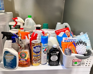 Lots of cleaning products.