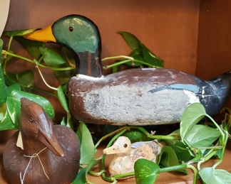 Wooden ducks