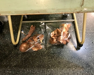 Items Locate In The Library