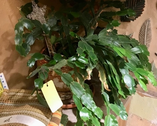 Items Locate In The Kitchen