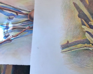 Items Located In The All Season Sun Room