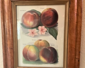 Another antique framed fruit selection