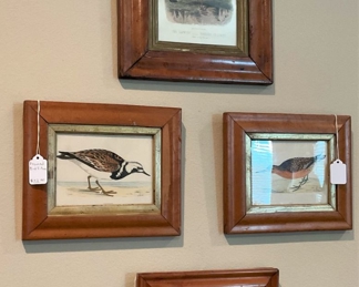 More framed birds