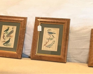 Antique framed birds prints