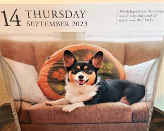 The 14th of September  .  .  .  on Thursday  .  .  .  we open at 7 AM! You will want to come to 402 Bluebonnet Dr. at Old Bullard Rd.